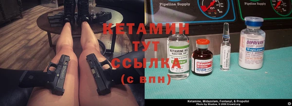прущие грибы Няндома