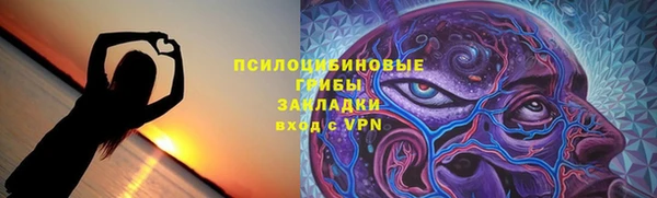 прущие грибы Няндома