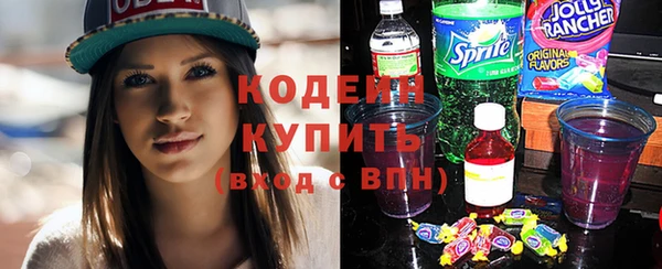 прущие грибы Няндома