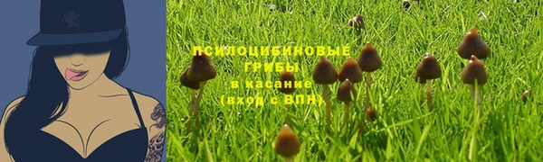 гидра Нягань