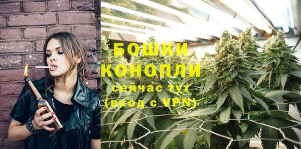 гидра Нягань