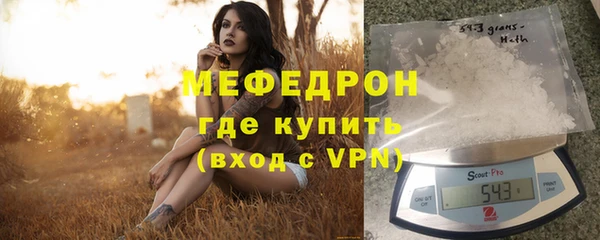 прущие грибы Няндома