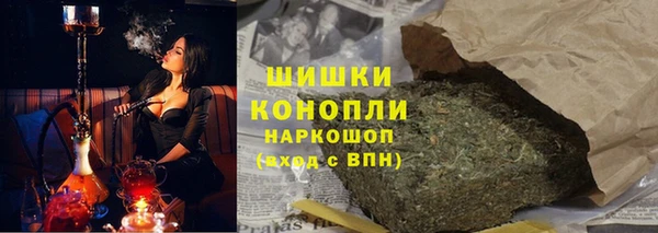 прущие грибы Няндома